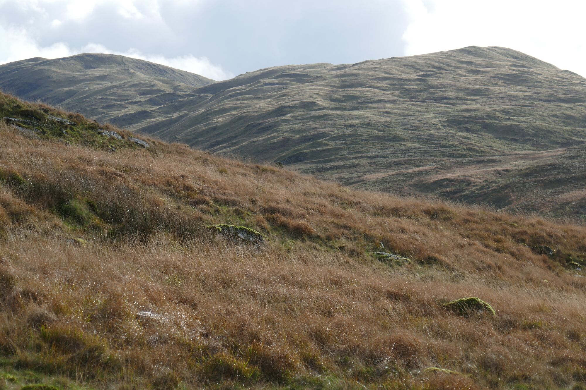 RachelSeabrook.net | Wild Walking | Cwm Hengwm | pic34